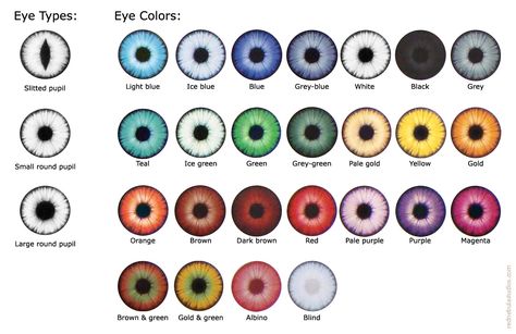 Types Of Eye Colors, Different Types Of Eyes, Rare Eye Colors, Eye Color Chart, Eyeshadow Eyebrows, Rare Eyes, Blue Eye Color, Rp Ideas, Types Of Eyes