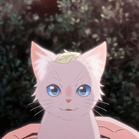 Anime Cats, Anime Cat, Anime Aesthetic, Studio Ghibli, Aesthetic Anime, Anime Icons, Kitty, Wallpapers, My Saves