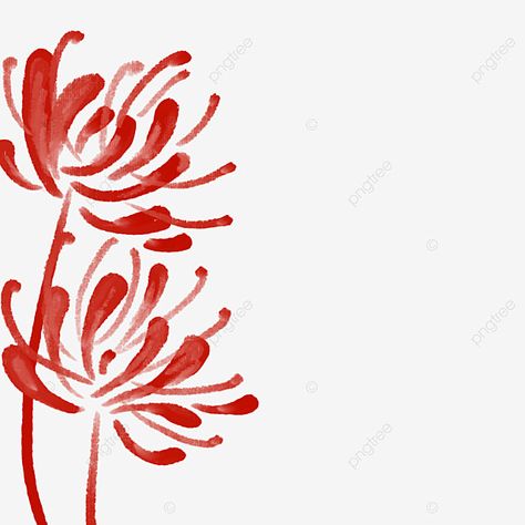 Red Flower Types, Red Spider Lily Flower Drawing, Simple Spider Lily Drawing, Spider Lily Drawing Easy, Cool Png Images, Red Lily Drawing, Red Spider Lily Drawing Easy, Red Spider Lily Drawing Tutorial, How To Draw Spider Lily