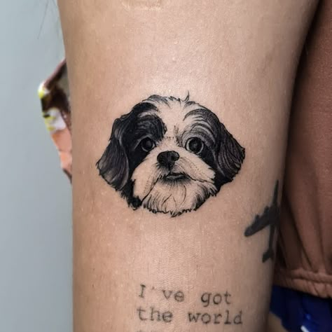 Shitzu Dog Tattoo, Dogs Tatoos Ideas, Shihpoo Tattoo, Shih Tzu Memorial Tattoo, Shin Tzu Tattoo, Shitzu Tattoo Ideas, Shihtzu Tattoos Minimalist, Dog Tattoo Shih Tzu, Shih Tzu Tattoo Minimalist