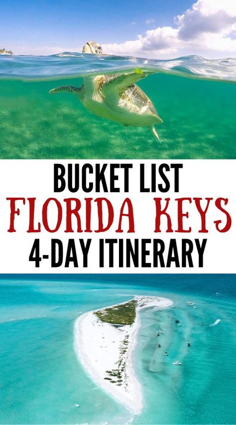 Our Florida Keys travel guide and bucket list trip itinerary covers everything you need to know -- things to do, where to stay, packing and more! | key west florida | florida keys | florida keys road trip | key west vacations | travel usa | florida keys travel | marathon florida keys | best things to do in florida keys | places to go | summer bucket list | dive florida | wanderlust Things To Do In The Florida Keys, Florida Itinerary, Key West Florida Vacation, Florida Keys Travel, Keys Florida, Marathon Key, Florida Keys Road Trip, Florida Vacation Spots, Travel Key West