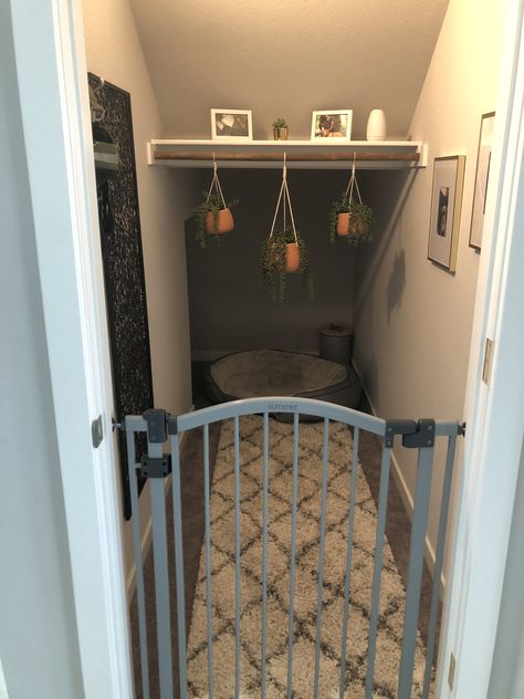 Under Stairs Puppy Room, Pet Room Ideas Under Stairs, Under Stairs Animal House, Pet Space Under Stairs, Under Staircase Pet Room, Dog Bedroom In Closet, Built In Dog Room Under Stairs, Understair Room Idea, Dog Kennel Ideas Indoor Under Stairs