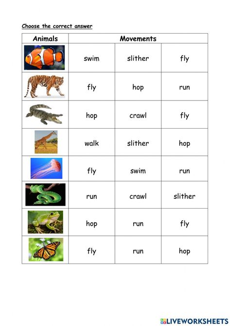 Kinds Of Animals Worksheets, Animals Movement Worksheet, Animal Coverings, Movement Of Animals, Learning Animals, Animal Movement, Activity Worksheet, Animal Worksheets, Spelling Practice