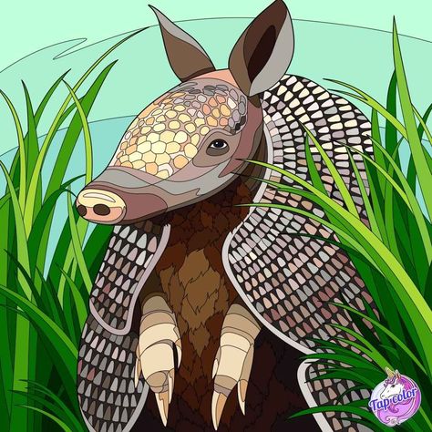 Rodeo Ideas, Armadillo Art, Intermediate Art, Folk Flowers, Illustration Art Design, Art And Painting, Canvas Paint, Animal Quilts, Moleskine