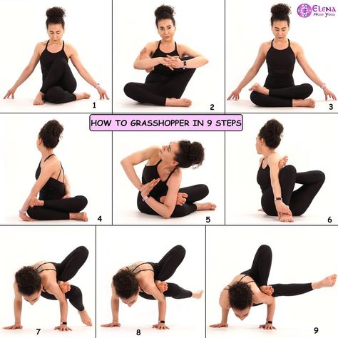 Yoga Poses For Beginners Videos, Partner Yoga Poses For Beginners, Arm Balance Yoga Poses, Poses For Digestion, Grasshopper Pose, Yoga Poses For Digestion, Yoga Arm Balance, Asana Yoga Poses, Hata Yoga