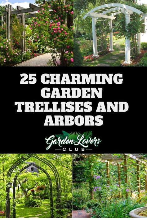 25 Charming Garden Trellises and Arbors - Garden Lovers Club Garden Corner Ideas, Sophisticated Garden, Wood Arbor, Trellis Fence, Garden Corner, Corner Ideas, Persian Garden, Building A Pergola, Country Gardens