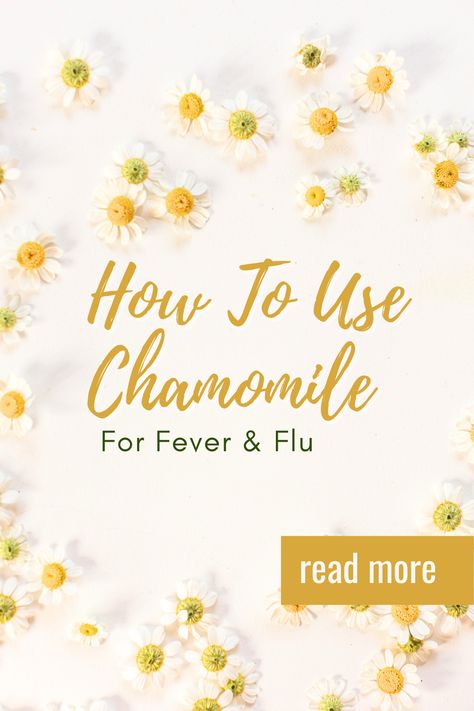 how to use chamomile for fever and flu Tea Post Instagram, Tea For Fever, Benefits Of Chamomile Tea, Chamomile Tea Recipe, Benefits Of Chamomile, Chamomile Tea Benefits, Chamomile Plant, Bullet Journal Page Ideas, Off Grid Homestead