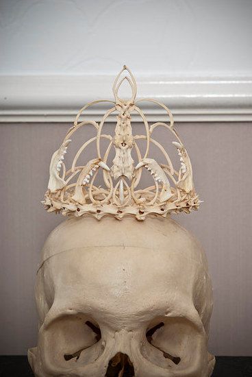 bone wedding tiara Bone Crown, Bone Crafts, Skulls And Bones, Vulture Culture, Bone Art, Tiara Wedding, Momento Mori, Bone Jewelry, Animal Bones