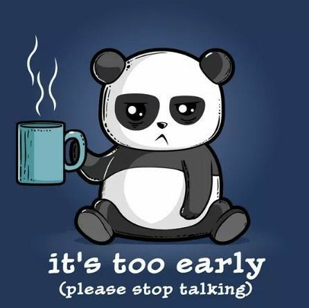 Panda Stuff, Cute Animal Quotes, Panda Drawing, Panda Panda, Cute Puns, Cute Panda Wallpaper, Panda Art, Panda Bears, Red Pandas