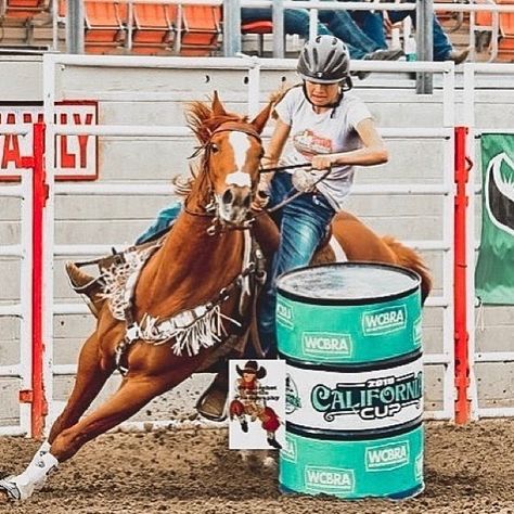 Barrel Racing Hailey Kinsel, Horse Riding Barrel Racing, Haliey Kinsel, Hailey Kinsel Barrel Racing, Barrel Racing Pictures, Hailey Kinsel, Barrel Racing Aesthetic, Barrel Racing Photography, Barrel Racing Photos