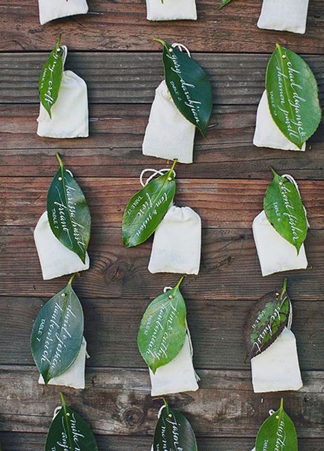 Southern Wedding Flowers, Wedding Photo Display, Wedding Reception Ideas, Stationery Inspiration, 카드 디자인, Magnolia Leaves, בר מצווה, 100 Layer Cake, Southern Weddings