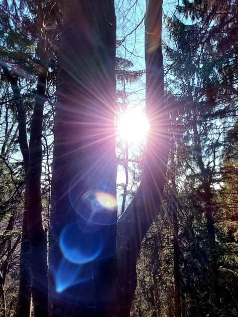 Orbs In Photos, Earth Princess, Sun Halo, 2022 Happy New Year, Light Codes, Orb Light, Lovely Images, All Of The Lights, Divine Light