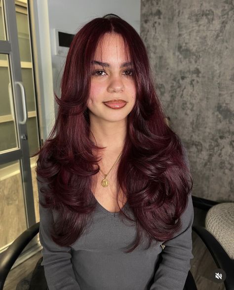 insta @karedoeshair Maroon Hair With Red Highlights, Black Red Balayage, Red Tinted Hair, Colored Hair For Brunettes, Autumn Red Hair, Fall Red Hair, Pelo Color Vino, Hair Colour Trends, Curly Red Hair