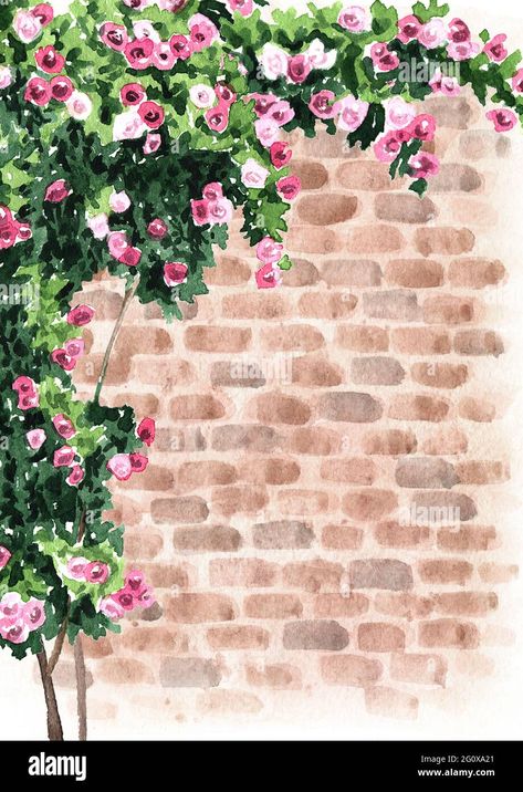 Download this stock image: Brick wall with climbing rose. Hand drawn watercolor illustration and background - 2G0XA21 from Alamy's library of millions of high resolution stock photos, illustrations and vectors. Brick House Painting Canvas, Climbing Roses Painting, Rose Wall Murals Painted, House With Flowers Drawing, Brick Wall Art Ideas, Climbing Roses Drawing, Drawing Brick Wall, Painting Of Bricks, Brick Wall Painting Canvas