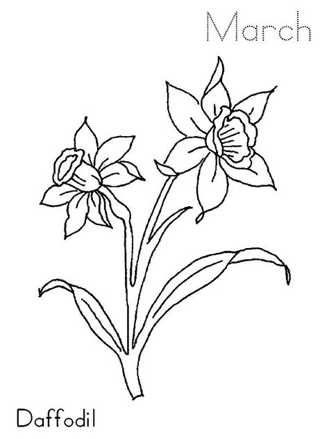 Minimalist Daffodil Drawing, Daffodil Line Art Tattoo, Daffodil One Line Drawing, Daffodil Line Drawing, Daffodils Line Art, Daffodil Tattoo, Journal Books, Blossom Tattoo, Daffodil Flower