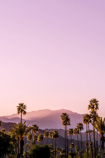 7,694 Palm Spring Stock Photos, Pictures & Royalty-Free Images - iStock Vibe Board, San Jacinto Mountains, San Bernardino Mountains, Salton Sea, Desert Hot Springs, California Mountains, Spring City, Palm Spring, California Sunset