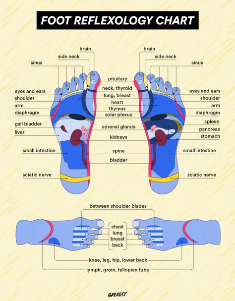 Foot Reflexology Chart, Reflexology Benefits, Reflexology Foot Chart, Foot Reflexology Massage, Reflexology Chart, Acupressure Mat, Acupressure Massage, Kinesiology Taping, Reflexology Massage