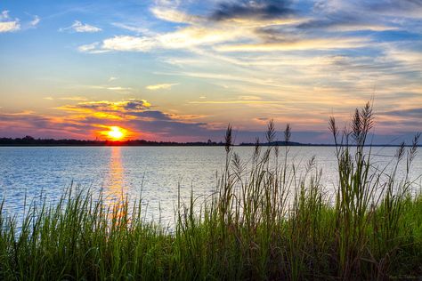 Savannah Photograph - Savannah River At Sunrise - Georgia Coast by Mark E Tisdale Sunrise Artwork, Georgia Coast, Sunrise Art, Georgia On My Mind, Tybee Island, Southern Comfort, Ray Charles, Coastal Landscape, On My Mind