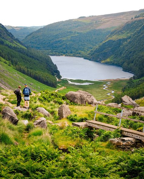 No wonder they call Wicklow ‘The garden of Ireland’.🌿✨🦌[ swipe ] My blog ‘10 Tips for a roadtrip through Ireland’ is online dear friends. From well-known to unknown tips: all the places that made my ❤️ beat faster. Of course, the Wicklow Mountains are in it. I mean… look at it! Tap on the link in my bio. #WicklowMountains #glendalough #Ireland #ExploreIreland #lushgreenery #NatureLovers #Wanderlust #visitwicklow #ierlandtoerisme #irelandtourism #Wicklow #wicklowmountains #ierland #tasteof... Glendalough Ireland, Wicklow Mountains, Wicklow Ireland, Cliffs Of Moher, The Garden, My Blog, Lush, Tap, Road Trip