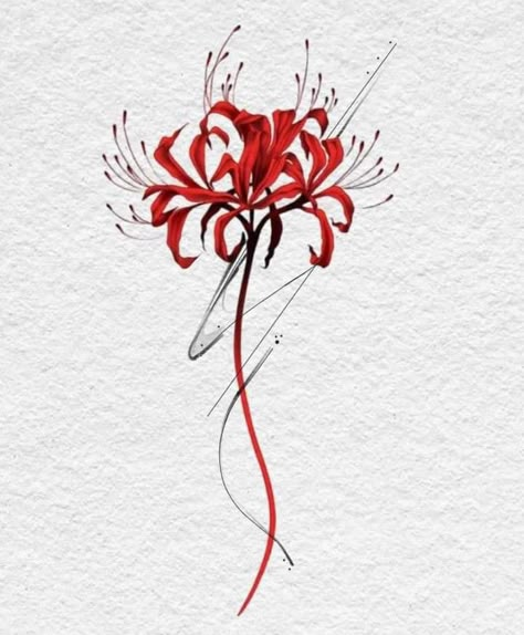 Spider Lily Tattoo Stencil, Red Flowers Drawing, Red Spider Lily Drawing, Red Spider Lily Tattoo Design, Spider Lilies Tattoo, Rr Tattoo, Spider Lily Drawing, Red Spider Lily Tattoo, Red Spider Lilies