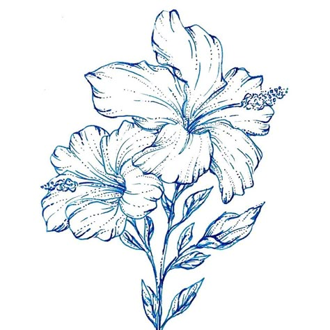 Hawaiian Flowers Drawings, Hibiscus Flower Line Drawing, Hibiscus Drawing Simple, Hawaiian Flowers Drawing, Hawaiian Hibiscus Tattoo, Hibiscus Flower Tattoo Design, Hibiscus Tattoo Design, Hibiscus Sketch, Acrylic Painting Ideas Abstract