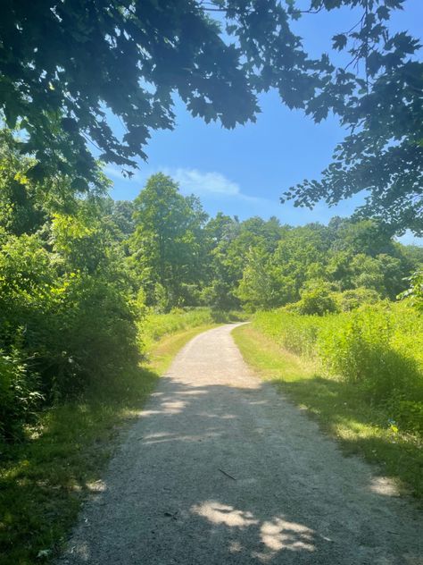 Nature Path Aesthetic, Nature Walk Photography, Walking In Woods Aesthetic, Walking Trails Aesthetic, Walking In The Woods Aesthetic, Walking Path Aesthetic, Trail Walk Aesthetic, Walks In Nature Aesthetic, Nature Trail Aesthetic