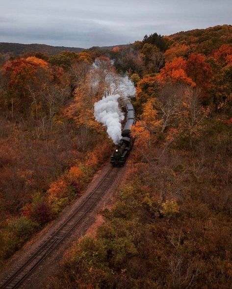 Aesthetic Background Green, Connecticut Fall, Train View, Evermore Aesthetic, Mine Aesthetic, Fall Mood Board, Background Green, Autumn Magic, Fall Photography