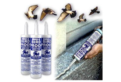 Bird Repellent Gel India, Bird Gel Supplier, Bird & Pigeon Control Gel Pigeon Repellent, Bird Deterrents, Bird Control, Bird Repellents, Garden Weeds, Bird Perch, Harmful Chemicals, Pest Control, Pigeon