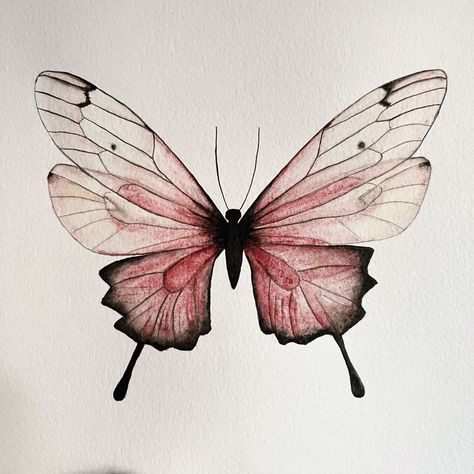 Butterfly Watercolor Painting, Watercolour Butterfly, Butterfly Simple, Sketching Inspiration, Butterfly Art Drawing, Painting Realistic, Images Emoji, Butterfly Sketch, Butterfly Artwork