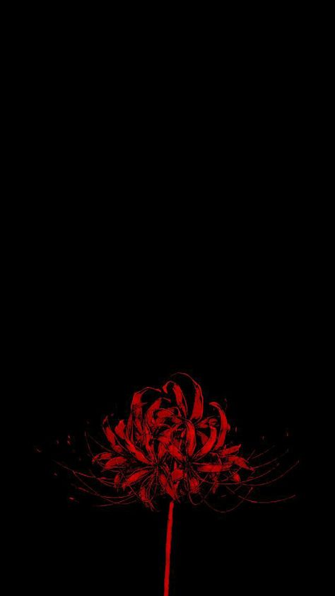 Red Spider Lily Aesthetic Wallpaper, Tokyo Ghoul Flower Wallpaper, Japanese Wallpaper Aesthetic Black, Red Flowers Aesthetic Wallpaper, Red Lily Spider, Red Spider Lily Wallpaper, Spider Lily Aesthetic, Spider Lily Wallpaper, Tokyo Ghoul Flower