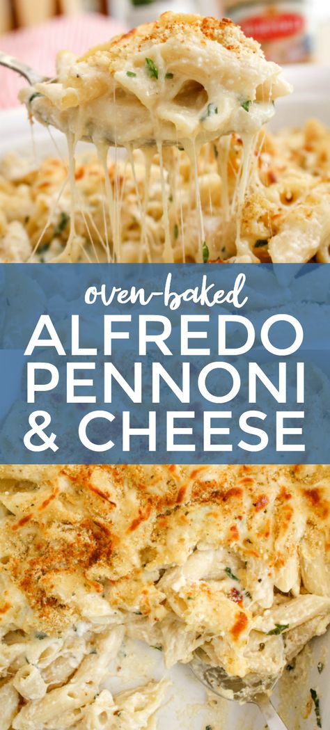 Baked Alfredo, Alfredo Pasta Bake, Cauliflower Alfredo Sauce, Ricotta Cheese Recipes, Baked Pasta Dishes, Cauliflower Alfredo, Pasta Recipes Alfredo, Ricotta Recipes, Ricotta Pasta