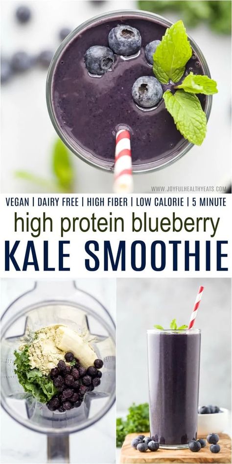 Blueberry Kale Smoothie, High Fiber Smoothies, Berry Smoothies, Protein Blueberry, Fiber Smoothie, Kale Smoothie Recipes, Blueberry Smoothie Recipe, Healthy Beverages, Healthy Protein Shakes