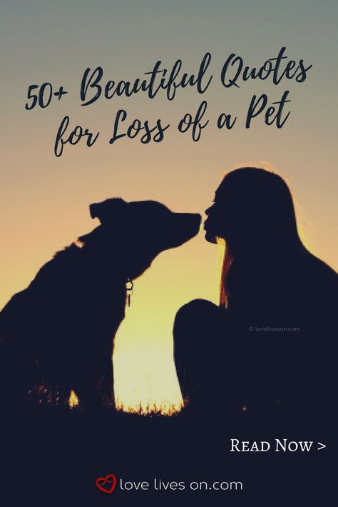 Pet Quotes Cat, Losing A Pet Quotes, Pet Quotes Dog, Pet Quotes, Dog Poems, Pet Sympathy Cards, Pet Bereavement, Dog Sympathy, Dog Died