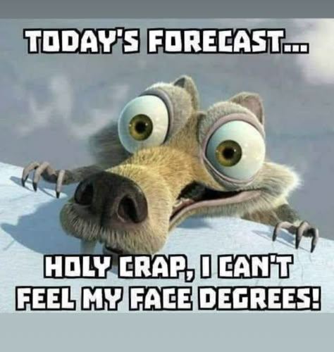 Cold Humor, Cold Weather Funny, Frozen Memes, Winter Humor, Good Morning Winter, Good Morning Happy Saturday, Funny Day Quotes, Weather Quotes, Funny Cartoon Quotes