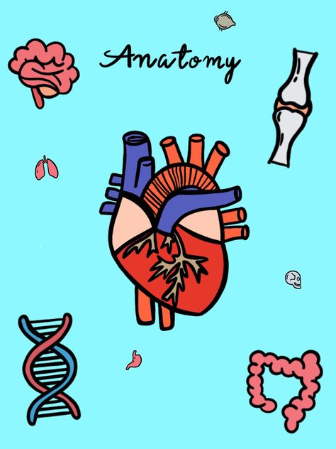 Anatomy, Heart, Doodles, Digital Notes, Art Anatomy Assignment Cover Page, Anatomy And Physiology Binder Cover Printable, Anatomy And Physiology Notebook Cover, Anatomy And Physiology Cover Page, Anatomy Cover Page, Anatomy Binder Cover, Physiology Wallpaper, Anatomy Notebook Cover, Anatomy Notebook