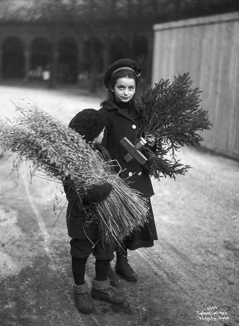 20 Great Vintage Christmas Photos From The Early 1900s | If It's Hip, It's Here Vintage Foto's, Vintage Christmas Photos, Norwegian Christmas, Christmas Preparation, Christmas Entertaining, Traditional Christmas Decorations, Photo Vintage, Christmas Memory, Christmas Past