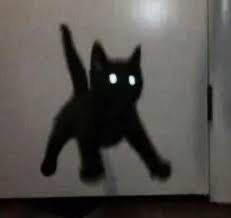 White Glowing Eyes, White Cat Meme, Starflesh Core, Jumping Cat, Black Cat Aesthetic, White And Black Cat, Black Cat Anime, Black Cat Tattoos, Meme Cat