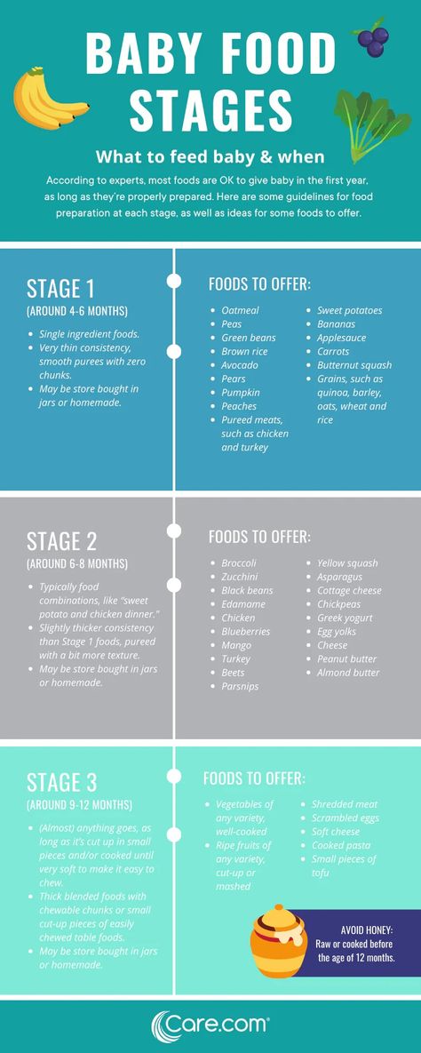 Baby Food Stages: A Guide to The 3 Major Food Stages Stages Of Baby Food, Baby Food Stages Chart, How To Start Baby Food, How To Make Homemade Baby Food Stage 1, Stage 1 Puree Baby Foods List, Make Your Own Baby Food Stage 1, Food Introduction Chart Baby, Instapot Baby Food Stage 1, Babies First Foods Chart