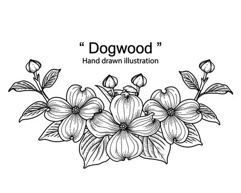 Dogwood Drawing, Dogwood Flower Drawing, Black And White Flower Drawing, Dogwood Flower Tattoo, Dogwood Tattoo, Dogwood Flower Tattoos, Burned Hats, Black Line Art, Dogwood Flower