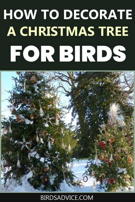 Outdoor Bird Christmas Tree, Ornaments For Outside Trees, Christmas Tree For The Birds, Christmas Tree For Birds Outdoor, Wildlife Christmas Tree Ideas, Christmas Tree For Birds, Wildlife Christmas Tree, Bear Stays Up For Christmas, Outside Christmas Tree