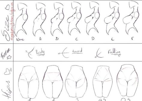 Female Anatomy Reference, Drawing Female Body, Human Anatomy Drawing, Body Drawing Tutorial, Drawing Faces, Body Reference Drawing, Female Anatomy, Poses References, Anatomy Drawing