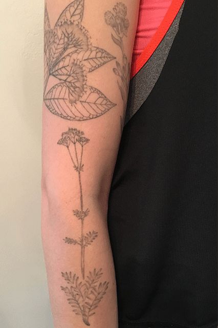 We Share Our Raddest Tattoos — & The Surprising Intentions Behind Them  #refinery29  http://www.refinery29.com/tattoos-aesthetic-sentimental-value-meaning#slide-1  "I have a whole bunch of really lovely (if I do say so myself) gray-ink tattoos of botanical illustrations from old encyclopedias. I love them and think they're beautiful, but there is no secret meaning, and when I tell people that, they often don't believe me." — Amelia... Gray Tattoo Ink, Encyclopedia Tattoo, Stretch Mark Tattoos, Gray Ink Tattoo, Grey Tattoo Ink, Short Meaningful Quotes Tattoos, Grey Ink Tattoo, Stretch Mark Tattoo, Tattoo With Meaning