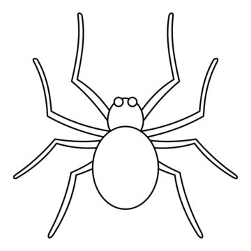 Spider Outline Drawing, Arthropods Drawing, Spider Outline, Gardener Design, Grass Sketch, Spider Sketch, Spider Icon, Bugs Drawing, Black Beetle