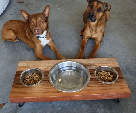 Dog Food Bowl Stand Diy, Diy Pet Food Stand, Dog Food Station For Two Dogs, Pet Feeding Station Diy, Dog Bowl Stand Diy Plans, Diy Pet Bowl Stand, Diy Dog Food Stand, Wood Dog Bowl Stand Diy, Elevated Dog Bowls Diy