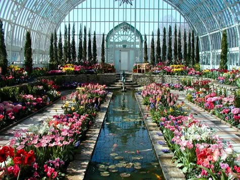 Greenhouses Ideas, Como Conservatory, Portraits Pastel, Orchid House, North Garden, Glass Building, Sunken Garden, Garden Wallpaper, Garden Types