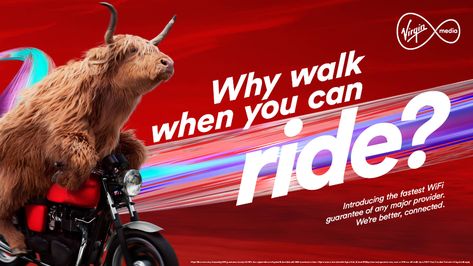 Virgin Media: Why walk when you can ride? • Ads of the World™ | Part of The Clio Network Scottish Highlands Landscape, Highlands Landscape, Google Banner Ads, Google Banner, Social Network Icons, Text Artist, England Women, Virgin Media, Web Software