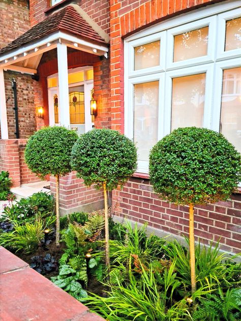 North Facing Front Garden Small Square Front Garden Ideas, Curb Appeal Uk, Garden Ideas Front Yard, Shade Tolerant Grass, Front Garden Entrance, Garden Curb Appeal, Front Yard Design Ideas, Modern Front Yard Landscaping Ideas, Porch Extension