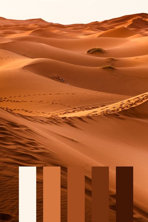 Desert Palette, Desert Color Palette, Earth Tone Palette, Earth Tone Color Palette, Flat Color Palette, Best Color Schemes, Desert Colors, Boho Room Decor, Color Me Beautiful