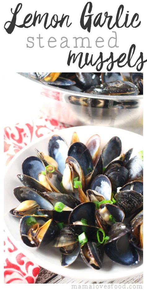 Lemon Garlic Steamed Mussels Recipe Mussels Recipe No Wine, Mussels Recipe Tomato, Mussels Recipe White Wine, Easy Mussels Recipe, Coconut Curry Mussels, Garlic Mussels, Mussels Marinara, Mussels Pasta, Curry Mussels