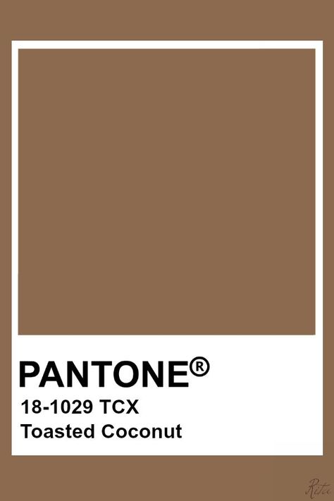 Brown Pantone, Pantone Tcx, Pantone Color Chart, Pantone Swatches, Pantone Colours, Pantone Palette, Pantone Colour Palettes, Pantone Colors, Colour Board